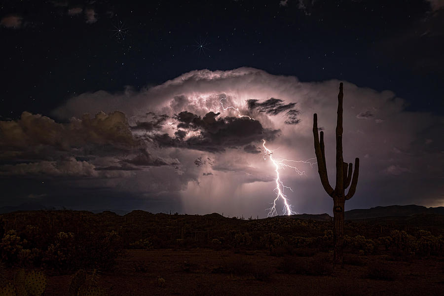 Saguaro Lit Up by the Lightning  Photograph by Saija Lehtonen
