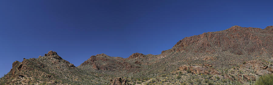 Saguaro National Park Panorama 3 Photograph by Mary Bedy