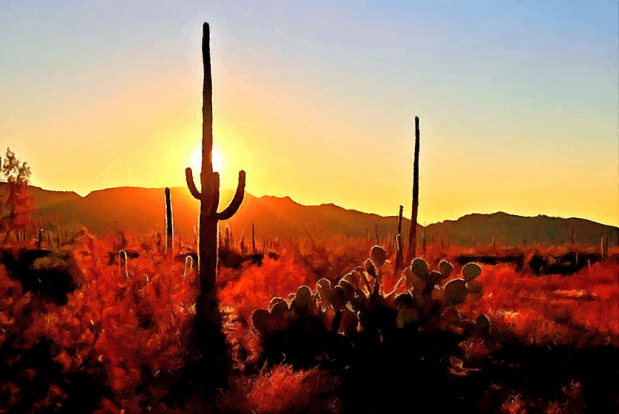 Mountain Painting - Saguaro National Park Sunset by Dr Bob Johnston