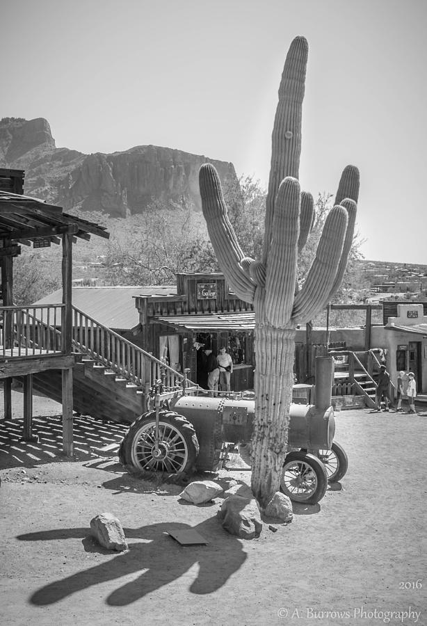Saguaro Shadow Photograph by Aaron Burrows