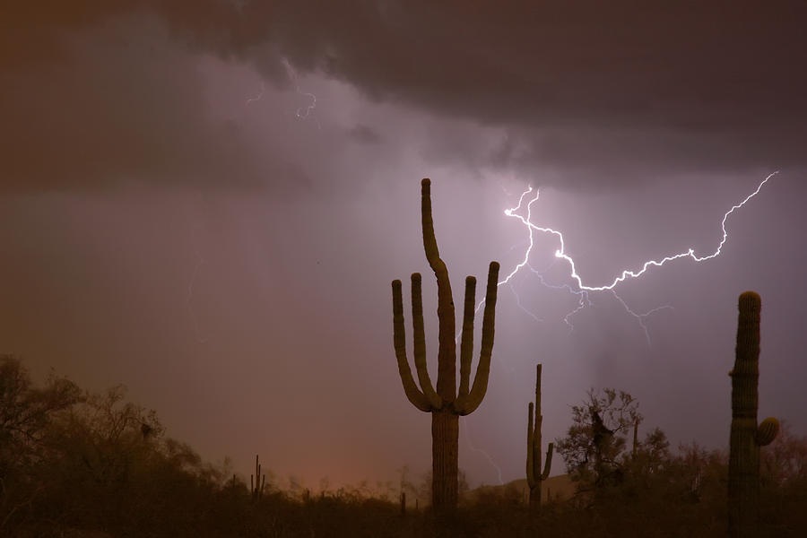 Saguaro Southwest Desert Lightning Air Strike  Photograph by James BO Insogna
