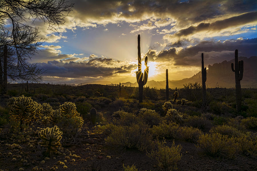 Saguaro Sunrise in the Superstitions Photograph by Saija Lehtonen