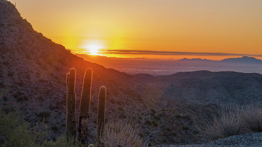 Saguaro Sunrise Photograph by Kimo Fernandez