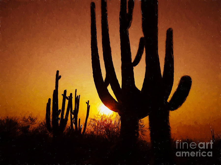 Saguaro Sunrise McDowell Sonoran Preserve Photograph by Marianne Jensen