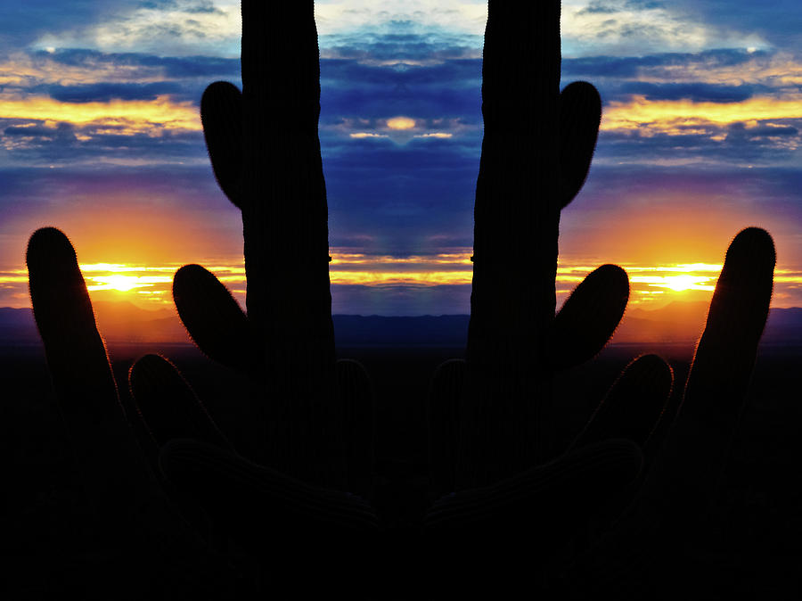 Saguaro Sunset Mirror Photograph by Kyle Hanson
