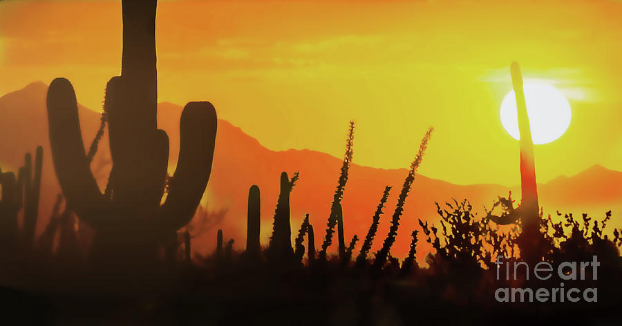 Saguaro Sunset Digital Art by Steven Parker