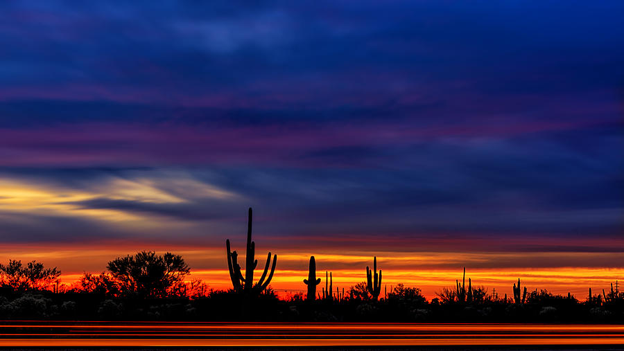 Saguaro Sunset V16 by Mark Myhaver Saguaro Sunset V16 by Mark Myhaver