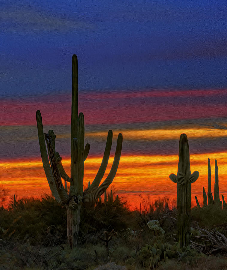Saguaro Sunset V31 Photograph by Mark Myhaver