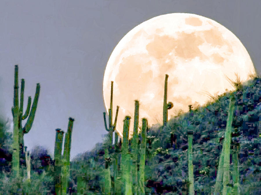 Saguaro National Park Painting - Saguaro Super Moon by Dr Bob Johnston