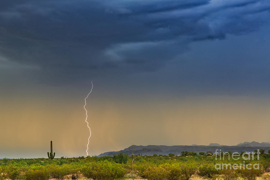 Saguaro with Lightning Photograph by Patti Schulze