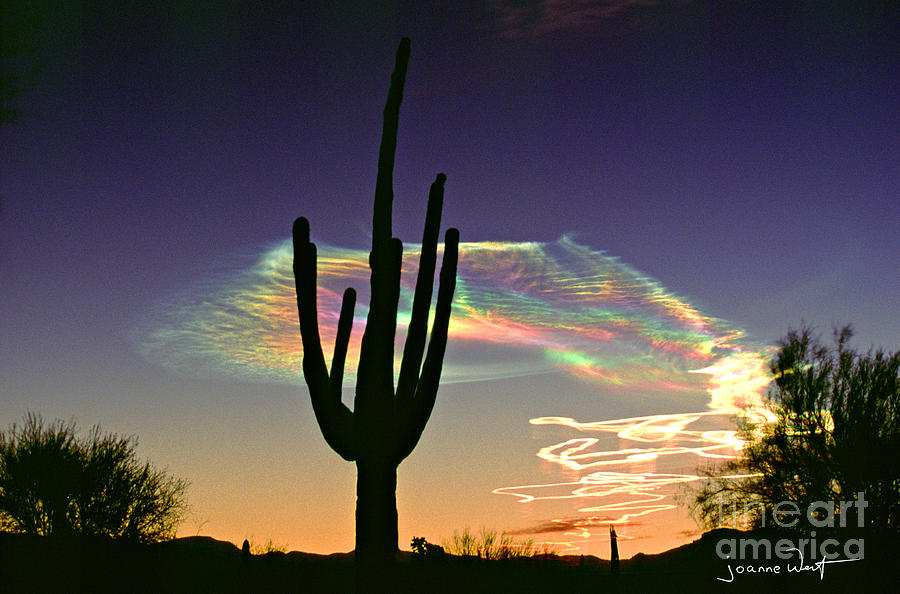 Saguaro with Missile Vapor Trails Photograph by Joanne West