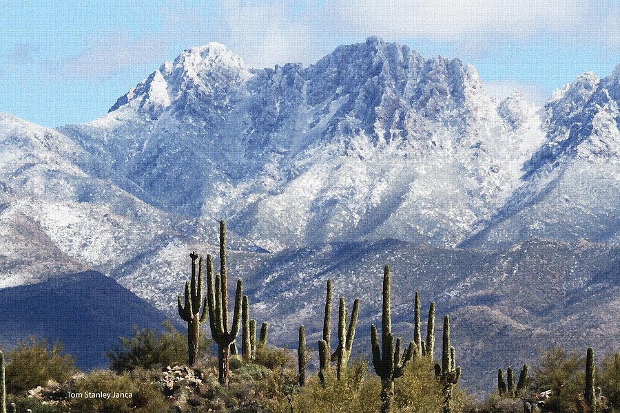 Saguaros At Four Peaks With Snow Photograph by Tom Janca