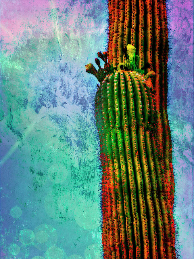 Tucson Saguaros Digital Art by Sandra Selle Rodriguez