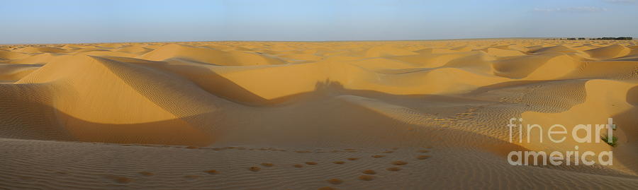 Sunset Photograph - Sahara Desert at sunset by Sami Sarkis