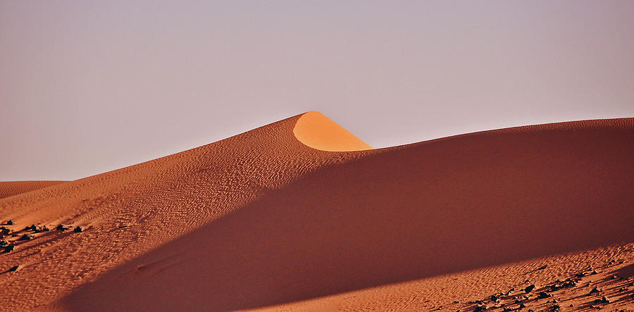 Sahara Desert Dune Photograph by Allan Rothman