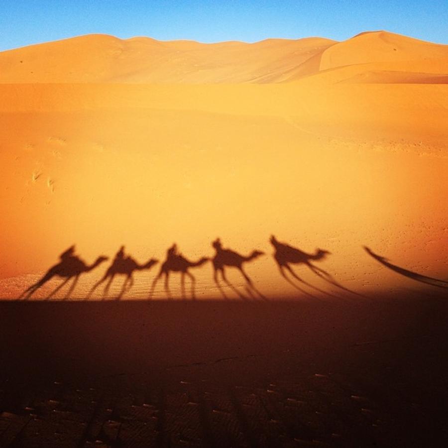 Sahara Desert Photograph by Silvia Brigido