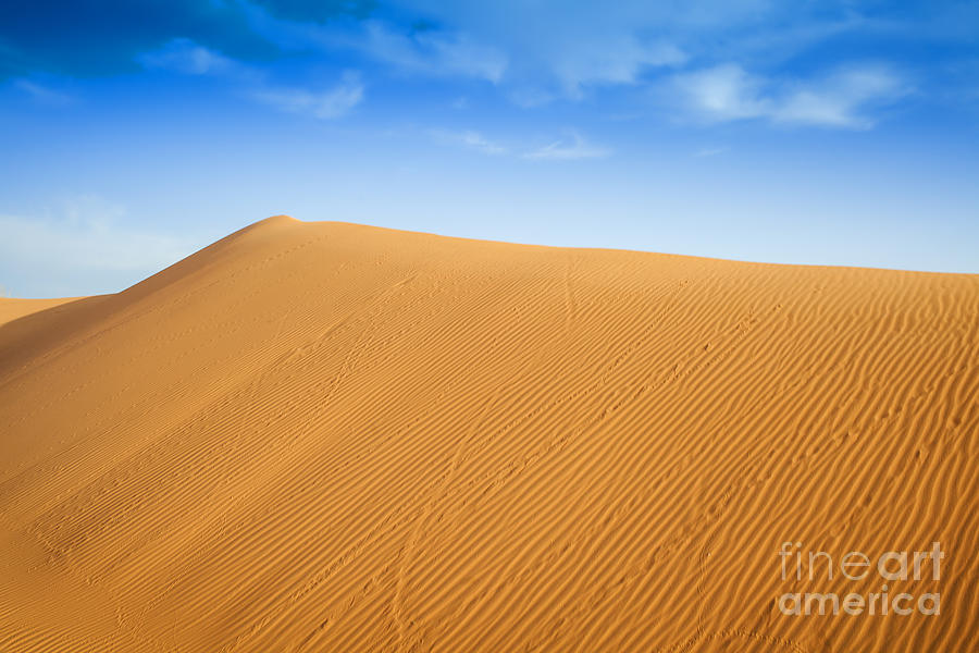 Sahara desert in Morocco Photograph by Patricia Hofmeester