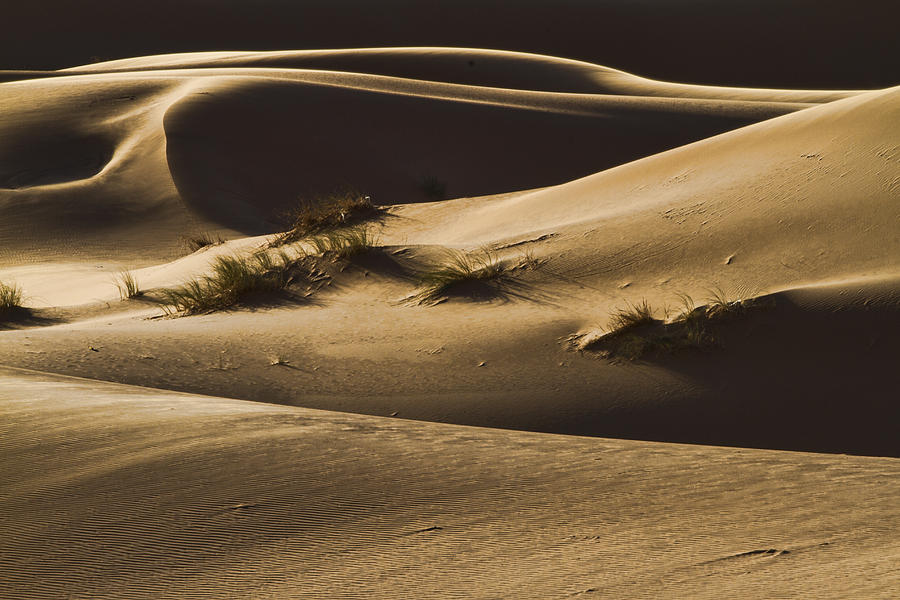 Sahara Night Photograph by Lindley Johnson