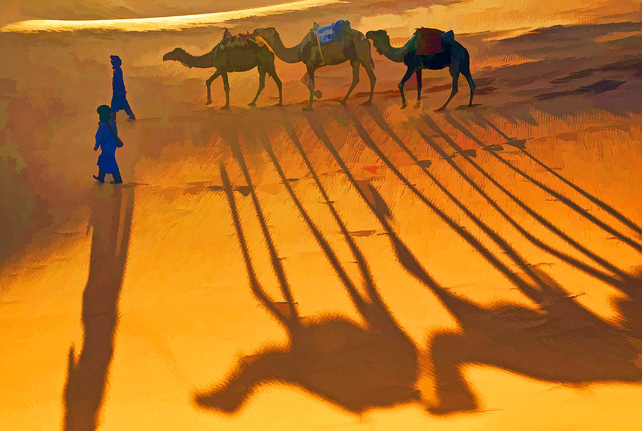 Sahara Shadows Photograph by Dennis Cox