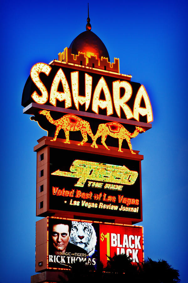 Sahara Sign Photograph by James Marvin Phelps