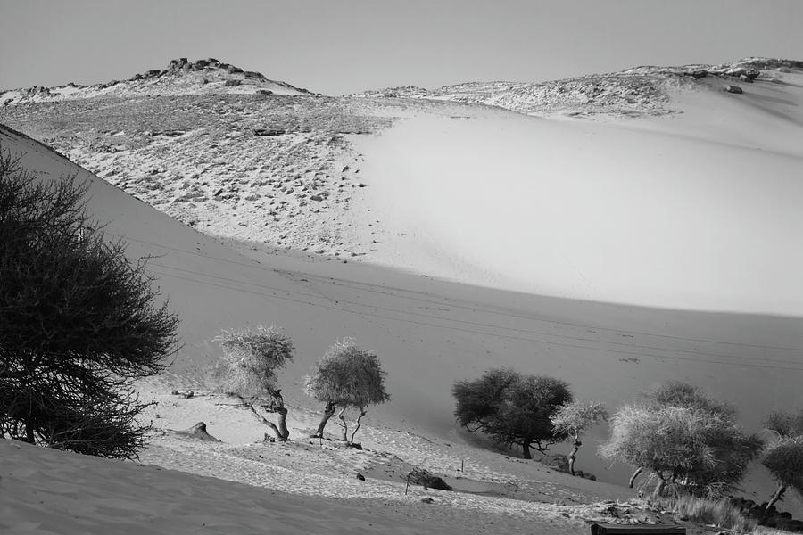 Sahara Photograph