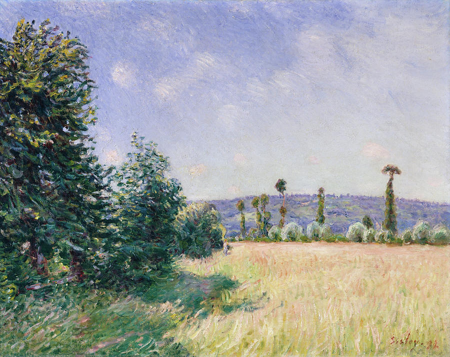 Alfred Sisley Painting - Sahurs Meadows in Morning Sun by Alfred Sisley