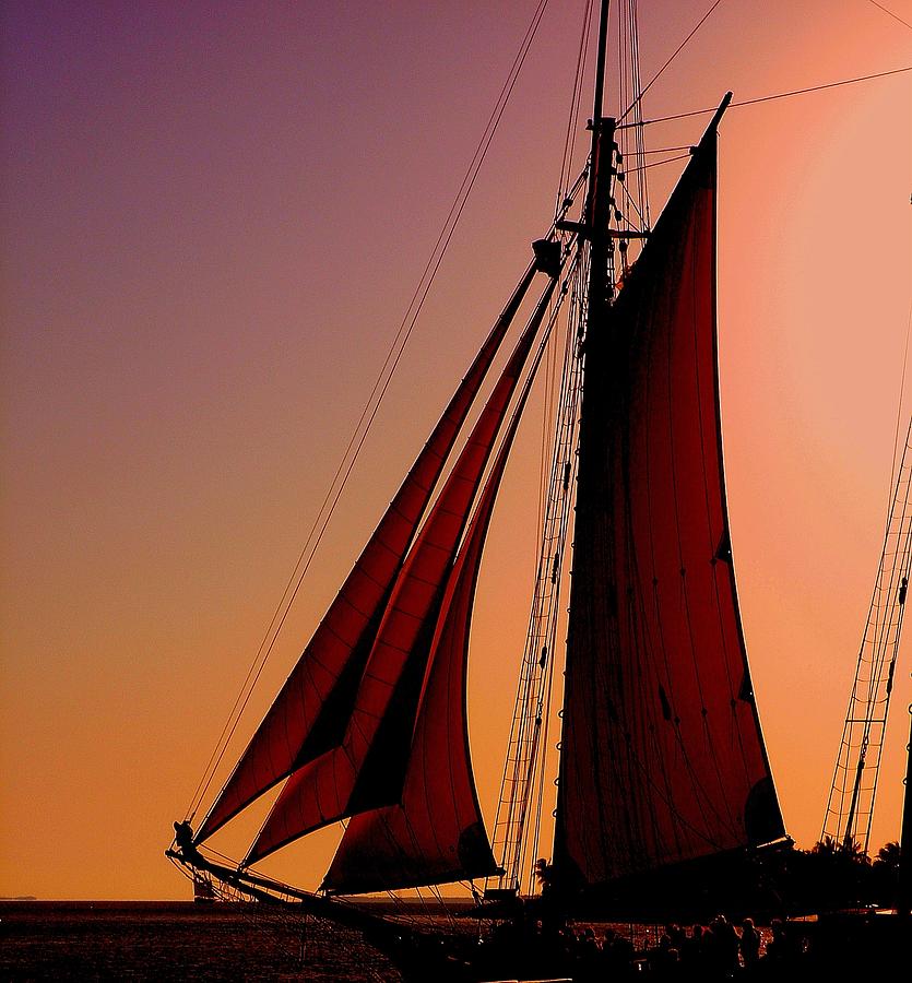 Sail at Sunset Photograph by Susanne Van Hulst