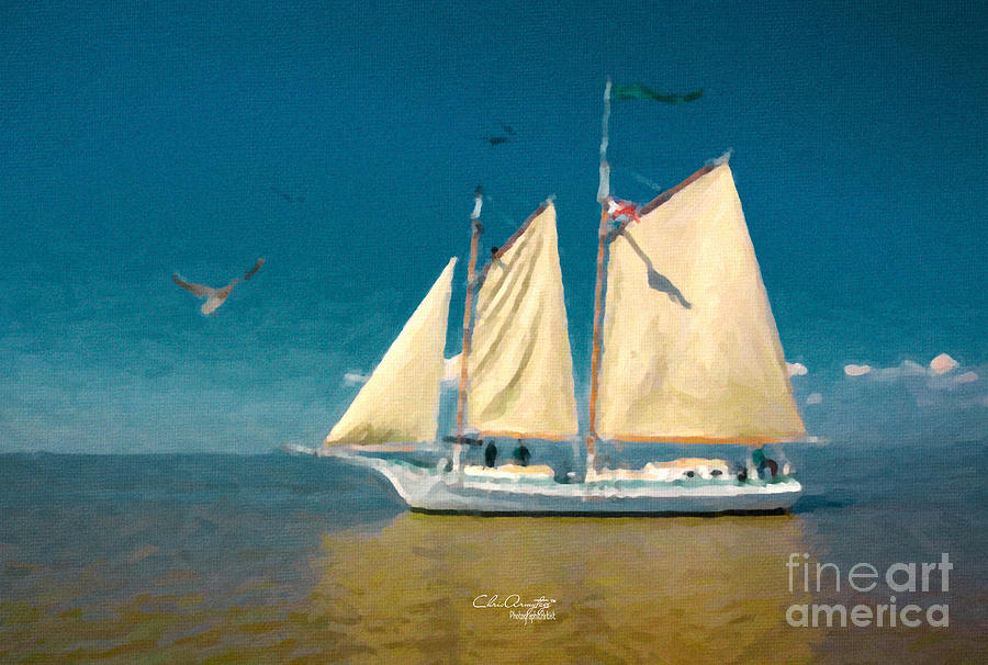 Sail Away Painting by Chris Armytage