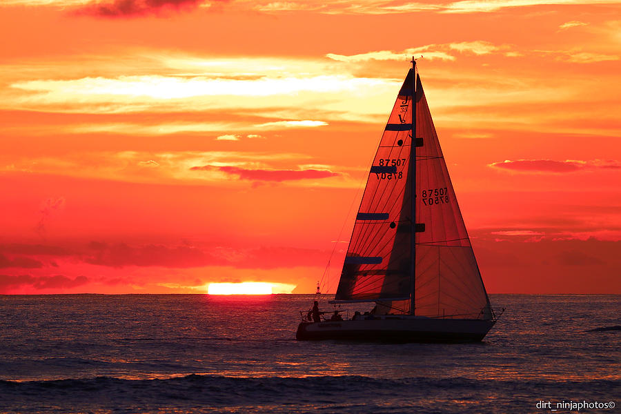 Paradise Photograph - Sail Away by Chris Topher
