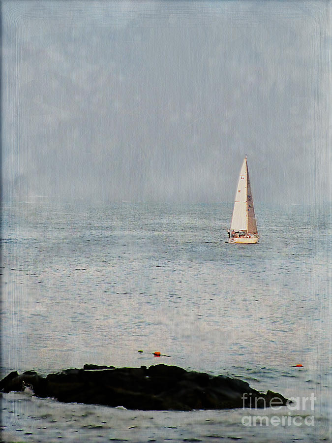 Sail Away Photograph by Colleen Kammerer