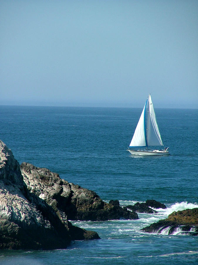 Sail Away Photograph by Donna Thomas