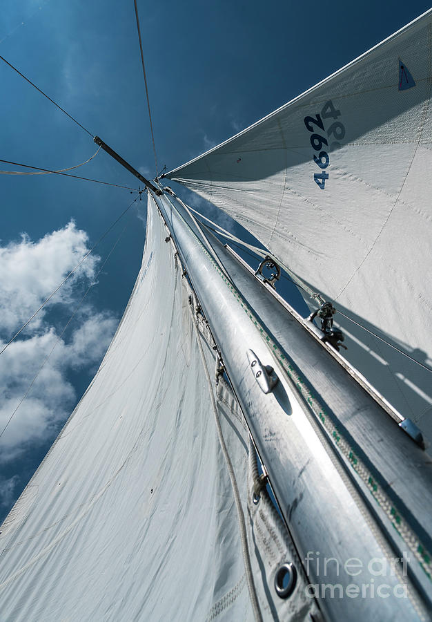 Sail Away Photograph by Joann Long