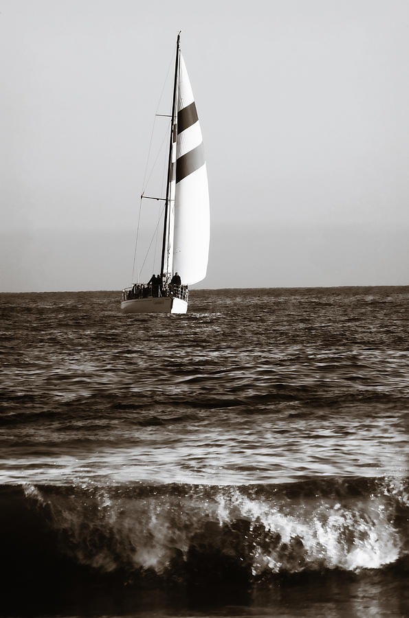 Sail boat coming ashore 2 Photograph by Marilyn Hunt