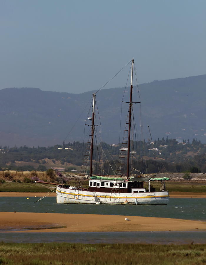 Sail Boat Photograph by Jeff Townsend