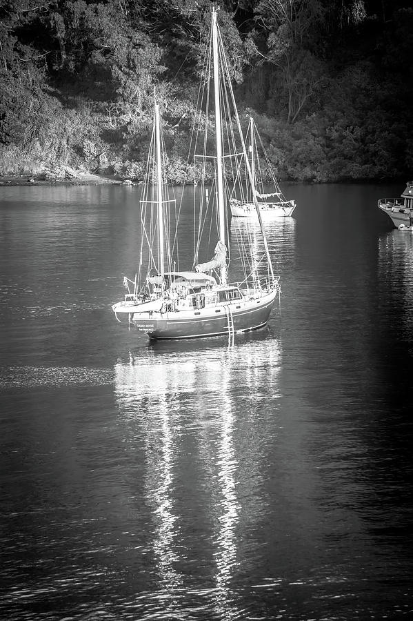 Summer Photograph - Sail Boat Yaht Parked At Harbor Bay by Alex Grichenko
