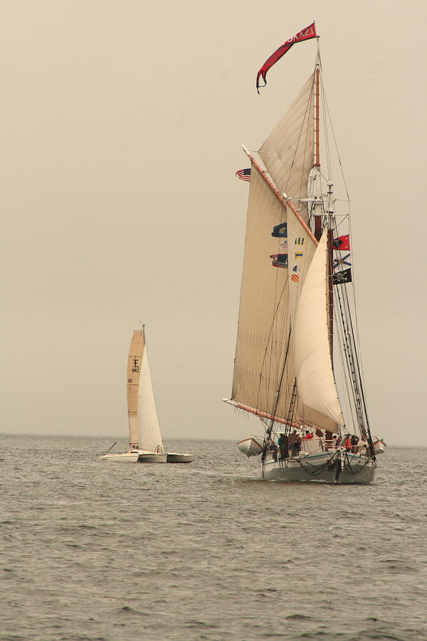 Sail Photograph by Doug Mills
