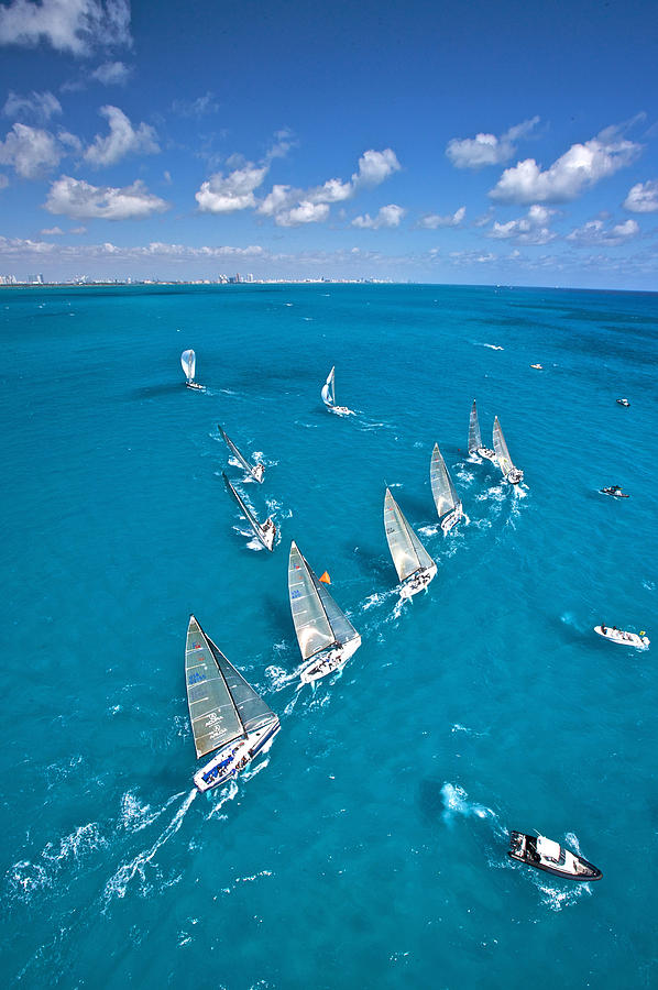 Sail Miami Photograph by Steven Lapkin