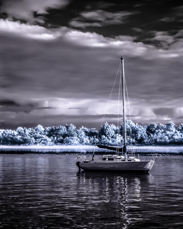 Sailboat 01 Photograph by Hayden Hammond