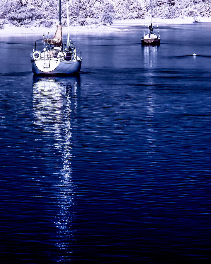 Sailboat 08 Photograph by Hayden Hammond
