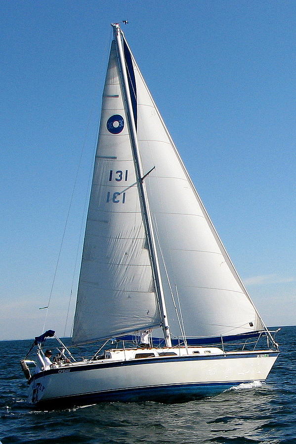 Sailboat 131 Photograph by T Guy Spencer