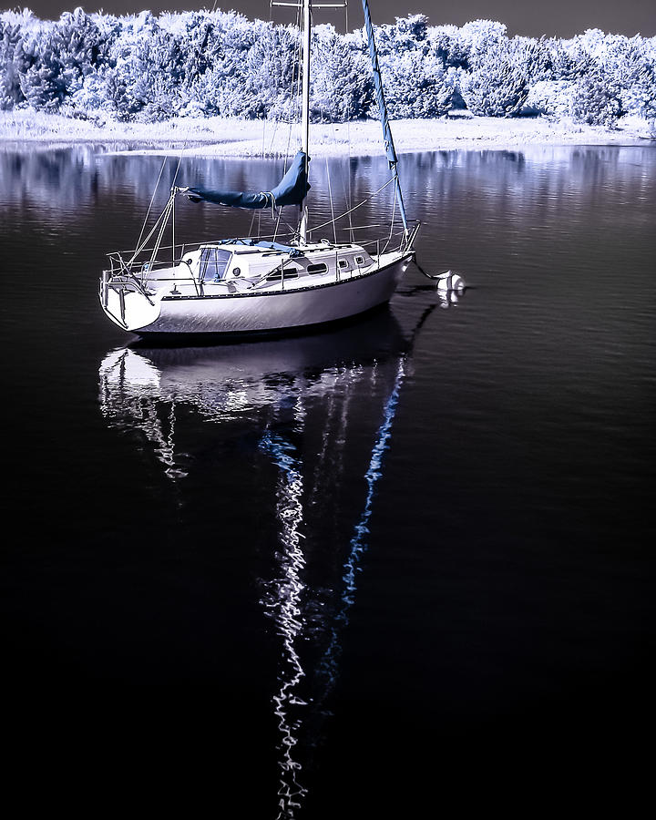 Sailboat 17 Photograph by Hayden Hammond