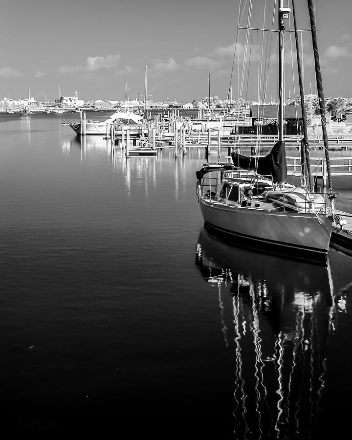 Sailboat 20 Photograph by Hayden Hammond