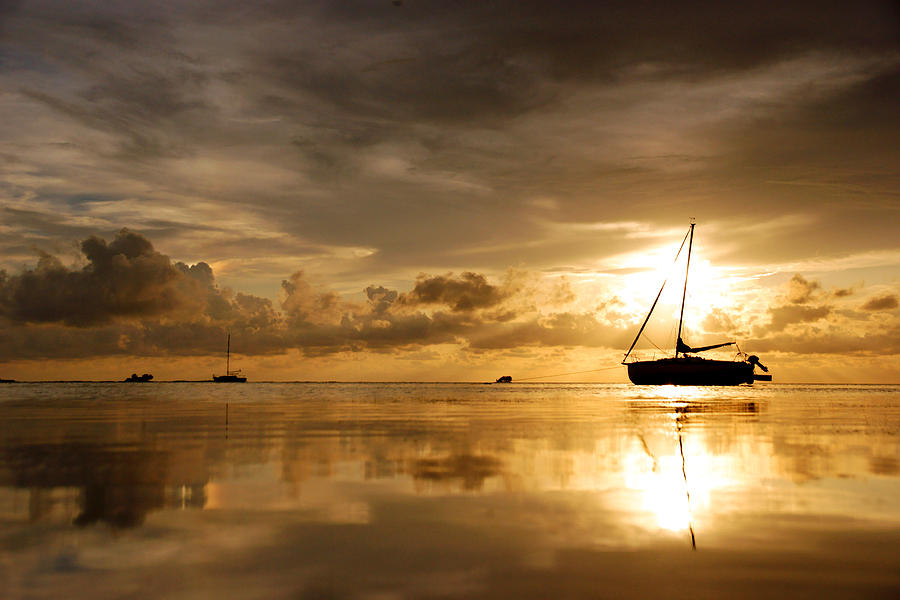 Sailboat and Golden Sunset Photograph by Daniel Woodrum