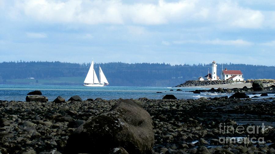 SAILBOAT and LIGHTHOUSE by Barbara Henry SAILBOAT and LIGHTHOUSE by Barbara Henry