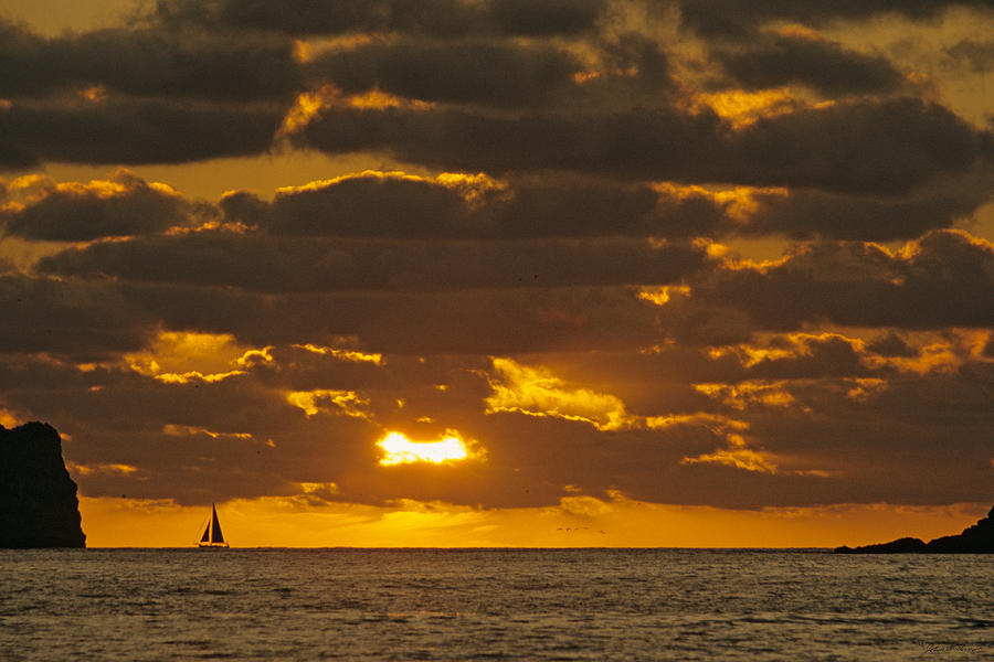 Sailboat as the Sun Sets Photograph by John Harmon