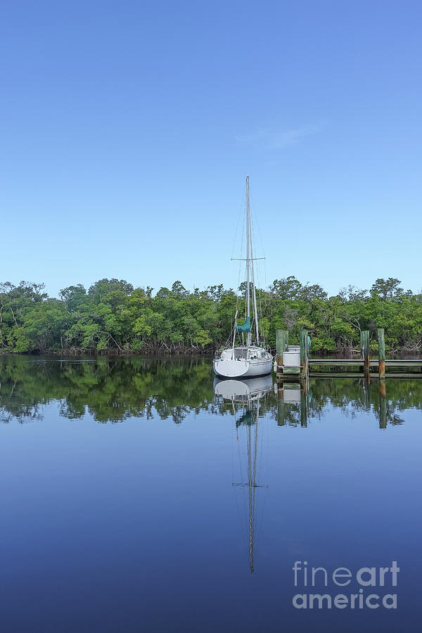 Sailboat at Dock Florida Photograph by Edward Fielding