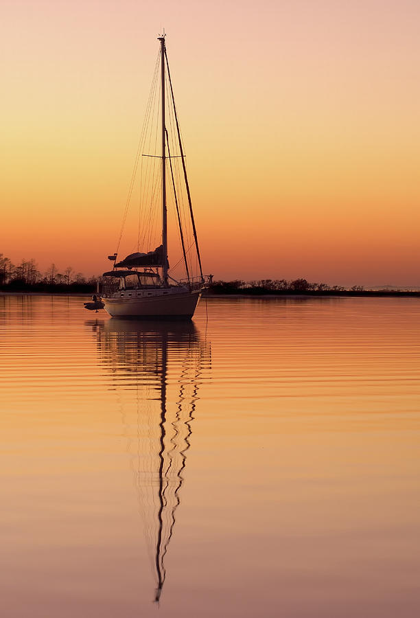 Sailboat at Sunset Photograph by Bill Chambers
