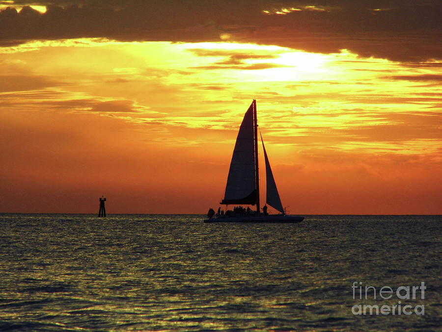 Sailboat At Sunset Photograph by D Hackett