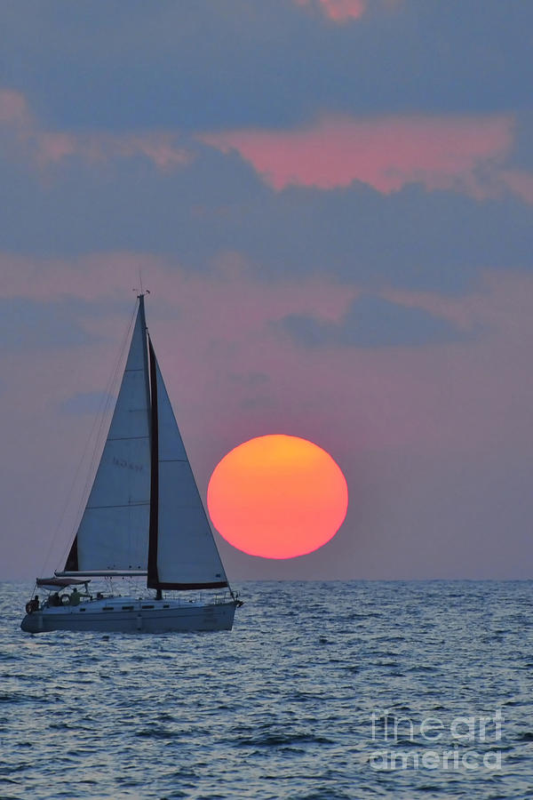 Sailboat at sunset  Photograph by Shay Levy