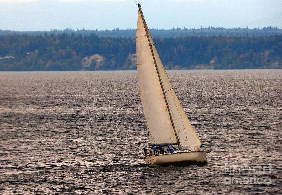 Sailboat Beating the Wind Photograph by Charles Robinson